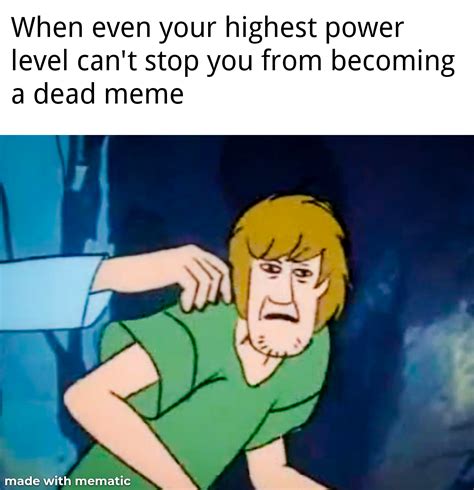 Rip Shaggy Meme The N Word Pass Was Meant For You Memes