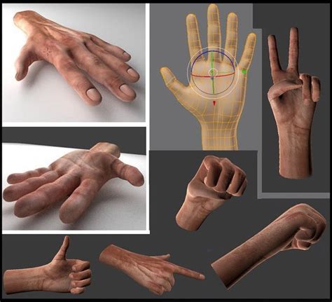 Hand Model Rig Animation For Blender 27 Cycle And Bge Hand
