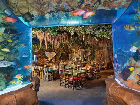 The Interior Of The Rainforest Cafe Featuring A Large Fish Tank And