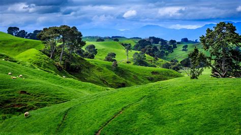 New Zealand Landscape Wallpapers Top Free New Zealand Landscape