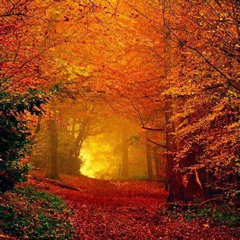 Happy Fall° ° ° Autumn Scenery Fall Pictures