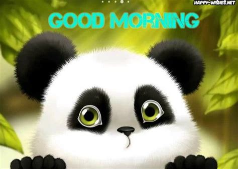 Good Morning Sunshine Panda Images Panda Images Panda Background
