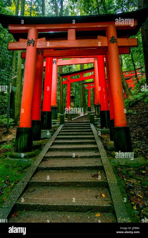 Red Tori Gate At Fushimi Inari Shrine In Kyoto Japan Stock Photo Alamy