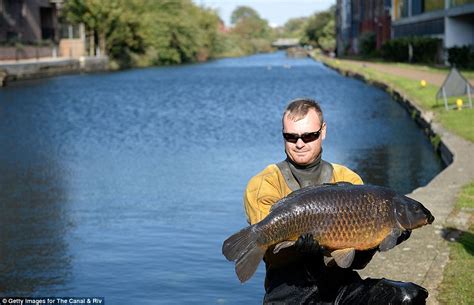 Have you ever seen a giant lake glassed out at sunset like this? Regent's Canal drainage works reveals bicycles and a 25 ...