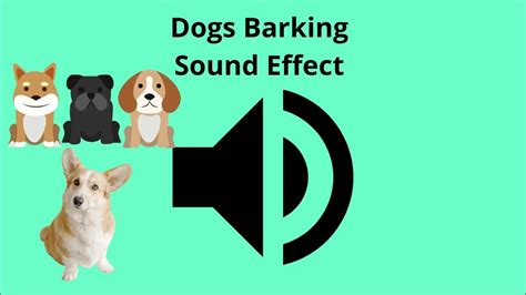 Dogs Barking Sound Effect Youtube