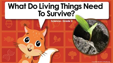 What Do Living Things Need To Survive