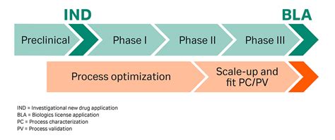 Evolution Of Downstream Process Development Methods Cytiva