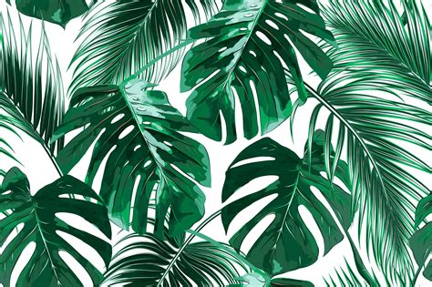 Tropical Palm Leaf Wallpapers Top Free Tropical Palm Leaf Backgrounds