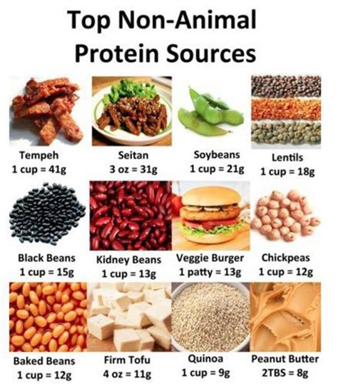 Top Non Animal Protein Sources Healthy Veggie Food Tips Soy Ab