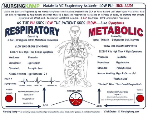 Hyperchloremic metabolic acidosis is a pathological state that results from bicarbonate loss, rather than acid production or retention. Metabolic VS Respiratory Acidosis