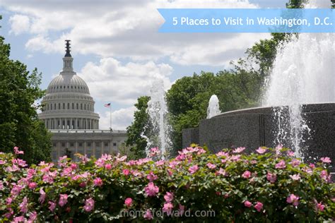 Family Vacation: 5 Places to Visit in Washington, D.C. - Mom it
