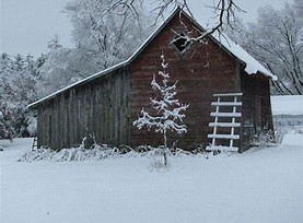 Image result for snowy barn