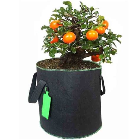Vegetable Grow Bags Plant Grow Bags Manufacturer