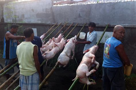 フィリピンでアクティブラーニングで英語を学ぶ！豚の丸焼きのレチョンについてプレゼンしました