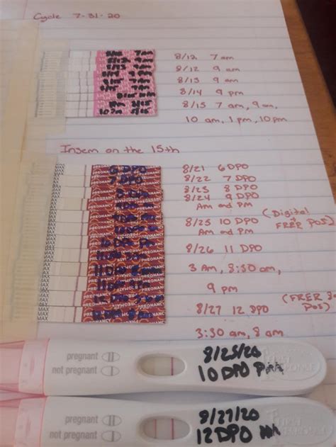 6 12 Dpo Pregmate Opk And Hcg And Frer Progression How Does This