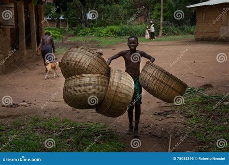 Sierra Leone West Africa The Village Of Yongoro Editorial Stock Photo