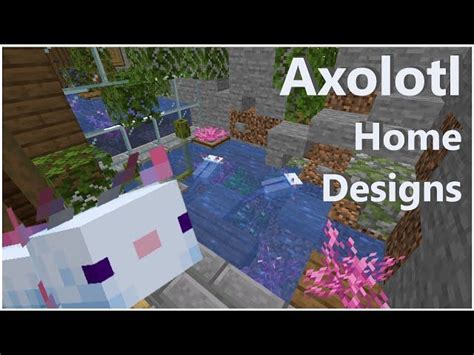 I 5 Migliori Usi Degli Axolotl Nellaggiornamento Minecraft 117 Caves