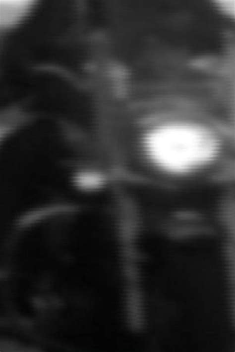 What Outlaw Motorcycle Clubs Are In South Carolina | Reviewmotors.co