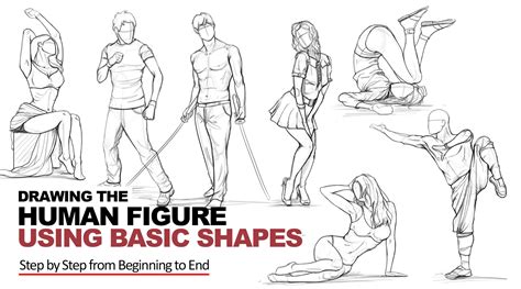 Drawing The Human Figure Using Basic Shapes With Salem Shanouha