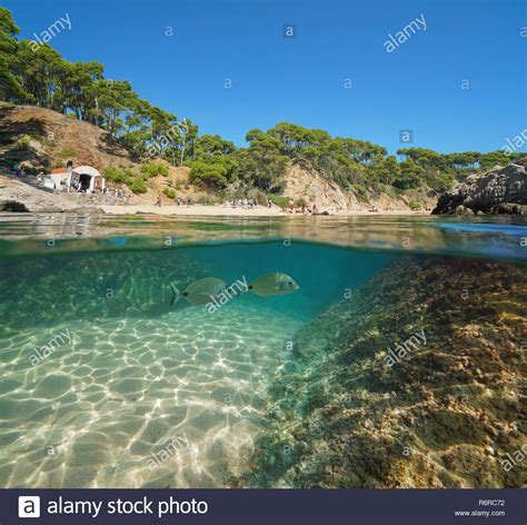 Spain Costa Brava Mediterranean Beach With Tourists In Summer And Fish