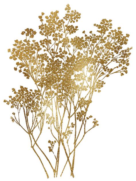 Babys Breath Gold Floral Illustration By Julia Di Sano Turningart