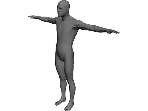Human Body Male 3d Model 3d Cad Browser
