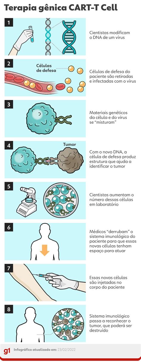 Anvisa aprova terapia gênica CAR T Cell para tratamento de câncer no Brasil Saúde G
