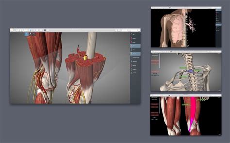 Essential Anatomy 5 For Android Download Free Latest Version Mod 2023