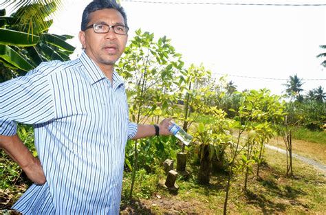 So the someone else was called to the istana and sworn in as the new mb. AKTIVITI MENTERI BESAR PERLIS: MB NASIHAT MUSNAHKAN POKOK ...
