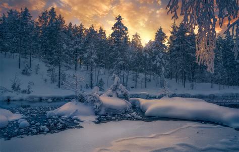 Wallpaper Winter Forest Snow Trees River Norway The Snow Norway