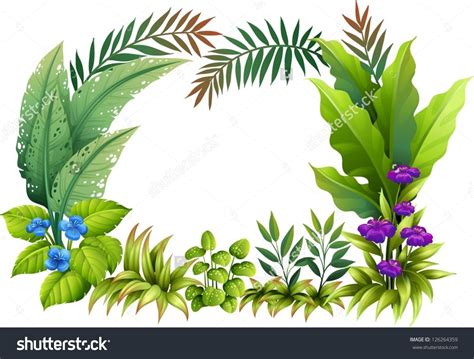 Tropical Plants Clipart 20 Free Cliparts Download Images On
