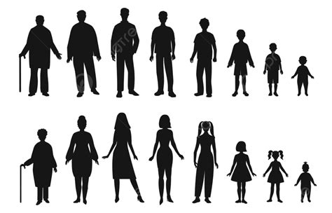 Human Life Cycle Png Vector Psd And Clipart With Transparent