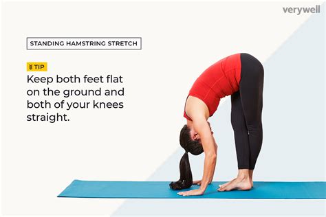Leg Stretching Exercises