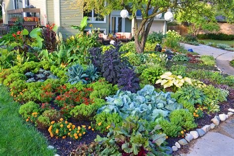 Front Lawn Vegetable Garden How To Design