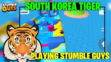 South Korea Tiger Playing Stumble Guys Most Funny Game Stumble