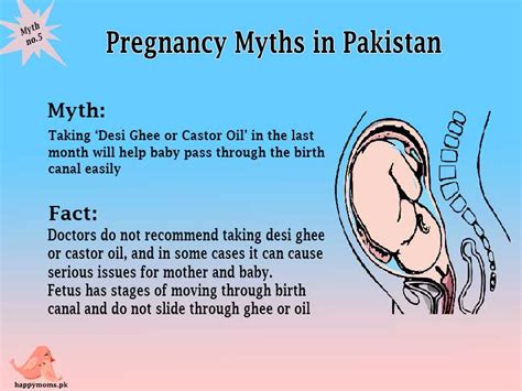 pregnancy myths in pakistan happy moms