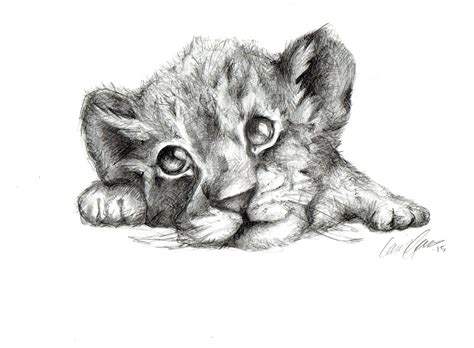 Lion Cub By Lauragranholm On Deviantart