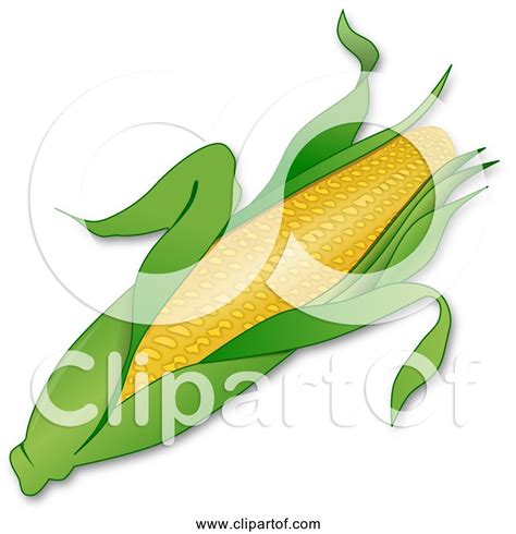 Ear Of Corn Clip Art
