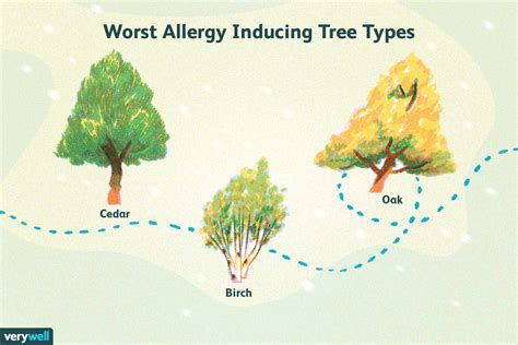 What Are The Worst Trees For Allergies