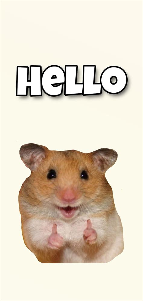 563 Wallpaper Hamster Meme Picture Myweb