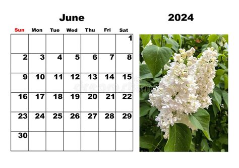 Calendario Para De Junio Con Foto De Flores Stock De Ilustraci N