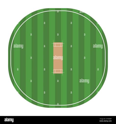 Flat Cricket Ground Pitch Vector Illustration Top View Cricket Ground