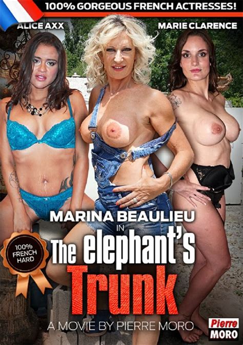Elephants Trunk The 2017 Hpg Production Adult Dvd Empire