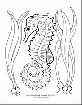 Seahorse Coloring Sea Horse Drawing Seahorses Printable Cute Google Starfish Butterfly Mermaid Outline Getdrawings Tattoo Adult Ocean sketch template