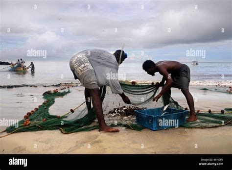ARTISAN FISHERMEN WITH A CATCH FROM NETS OFF THE BEACH AT THE MORGAN