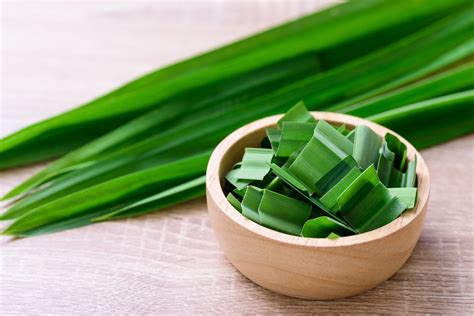 Natural Dried Pandan Leaves Culinary Herbs Spices And Etsy