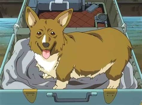 The 15 Greatest Anime Dogs Of All Time