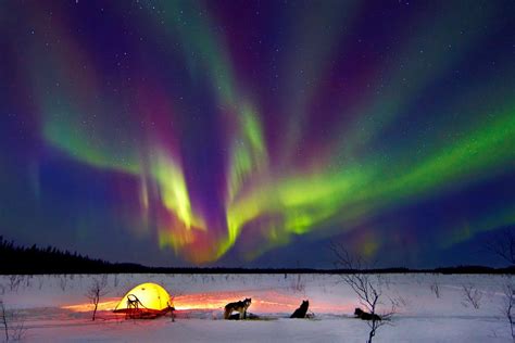 Winter Wonderland Alaska Northern Lights See The Northern Lights