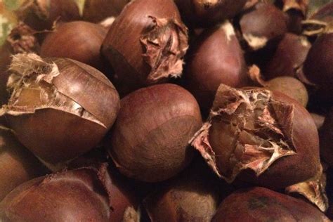 Perfect Roasted Chestnuts Every Time Innovative Sugarworks