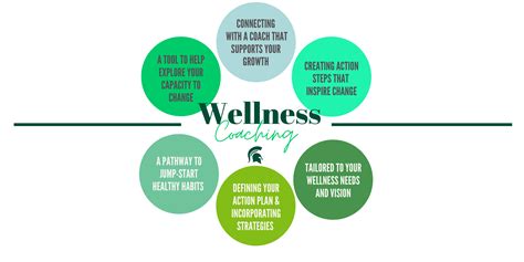 Fitness And Wellness Health Promotion Michigan State University